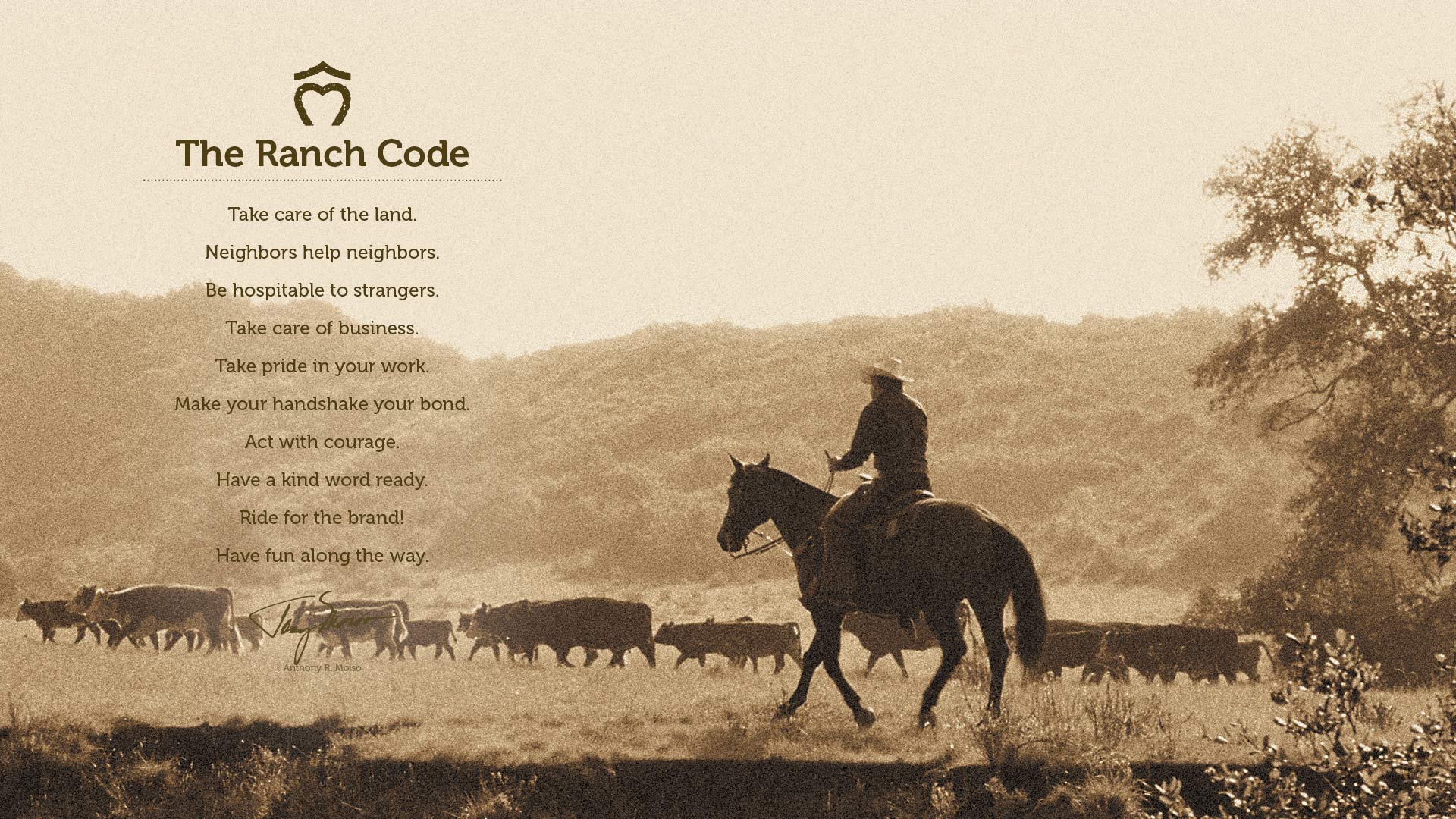 The Ranch Code
