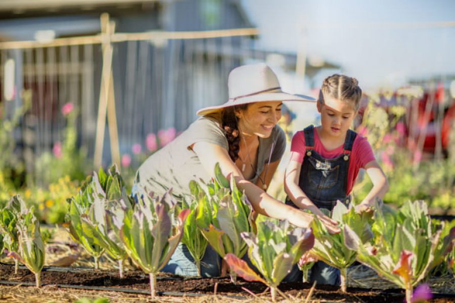 Esencia Farm mother-daughter gardening