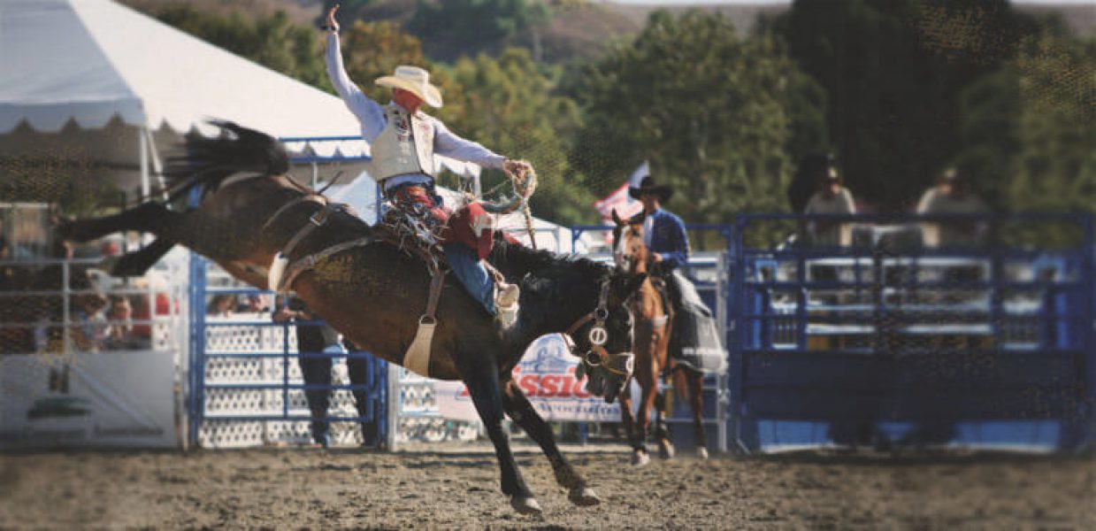 The Rodeo cowboys and horseback riding